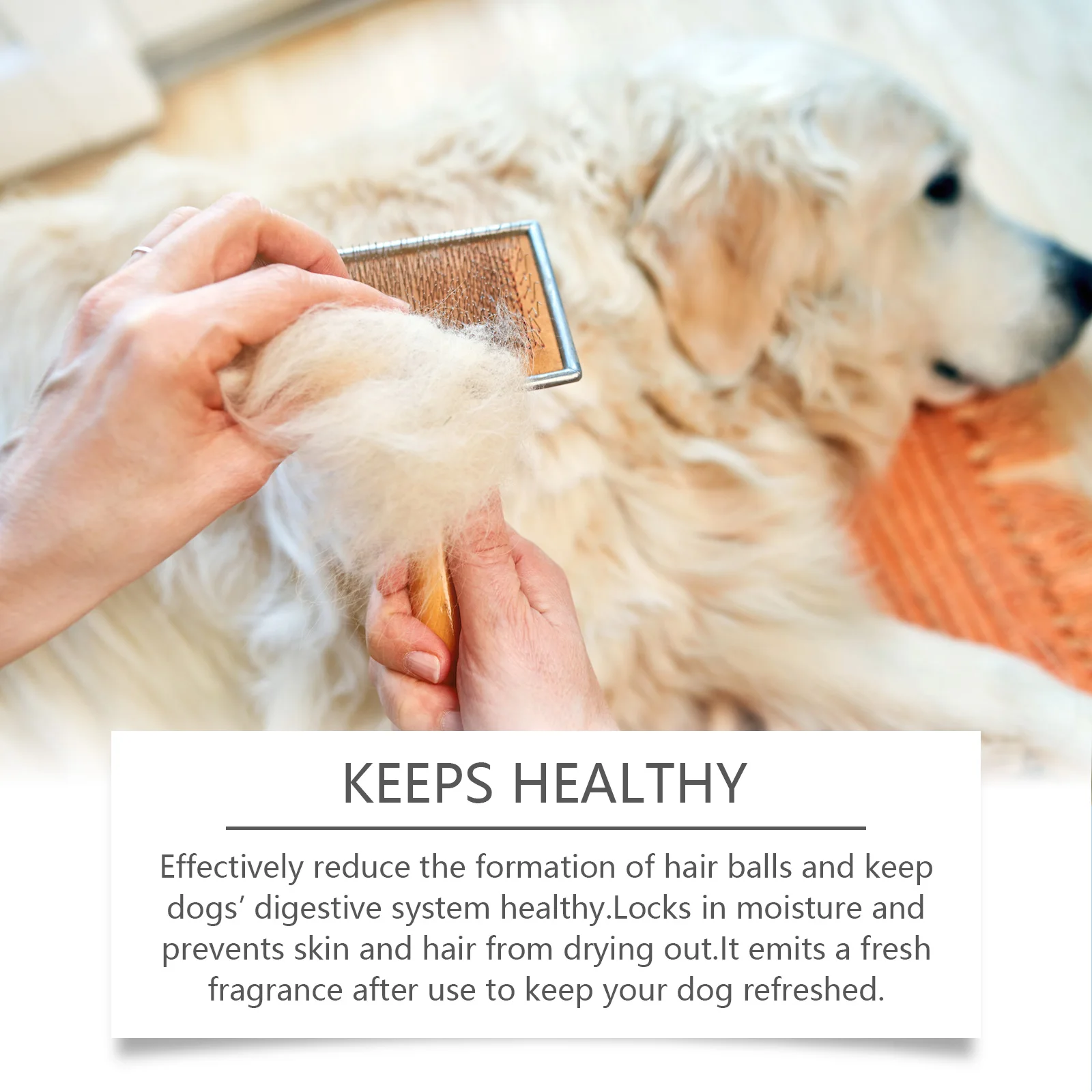 1-4PCS Dog Shampoo with Vitamin Essence Gentle Cleaning Nourishing Care Leaves Dog Coat Soft Smooth and Healthy Pet Hair Wash - Image 11